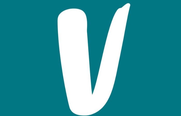 Zéró toleranciát hirdetett a Vinted 