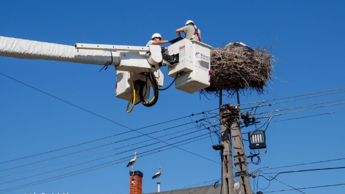 3300 fészek várja a gólyákat az E.ON áramhálózatán