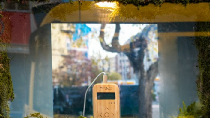 Növényzene Budapesten