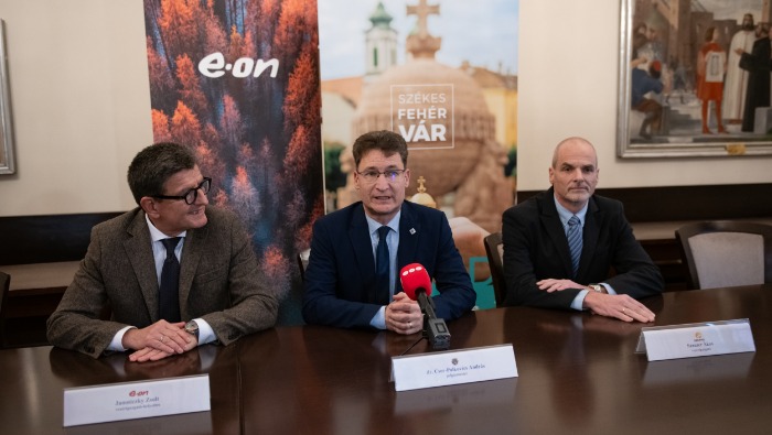 Tovább zöldülhet Székesfehérvár