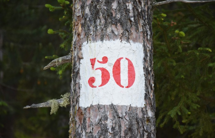 A magyarok egyharmada 50 pluszos – felértékelődik a korosztály gazdasági szerepe