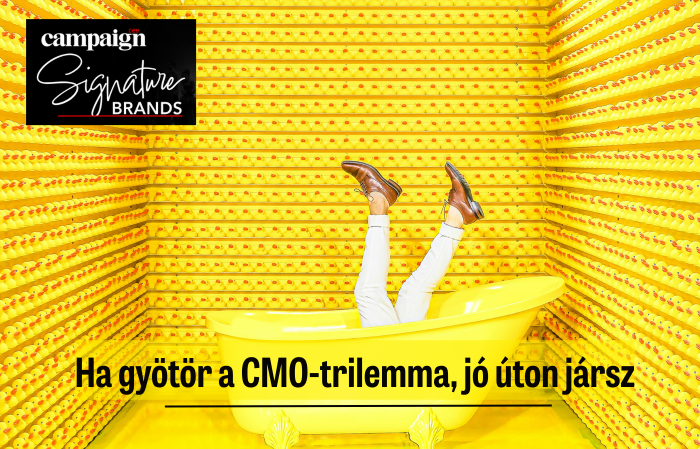 Ha gyötör a CMO-trilemma, jó úton jársz